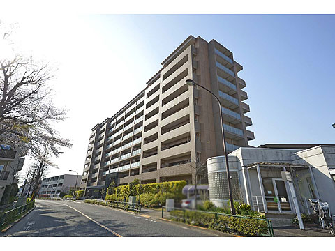 現地外観写真 外観