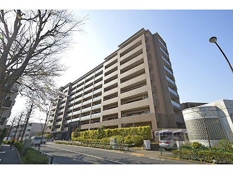 現地外観写真 外観