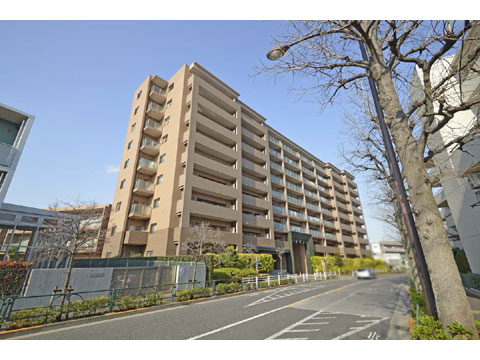 現地外観写真 外観