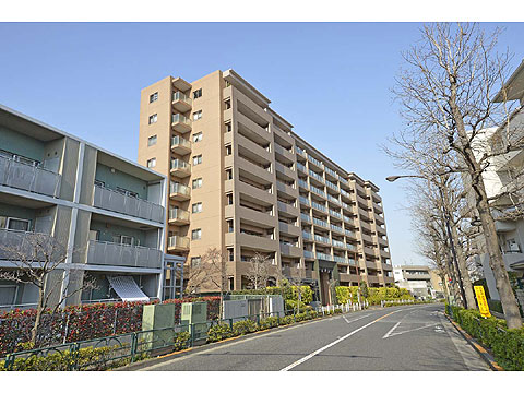 現地外観写真 外観