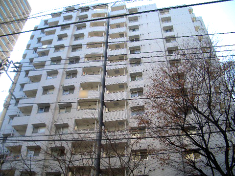 その他共用部　外観2