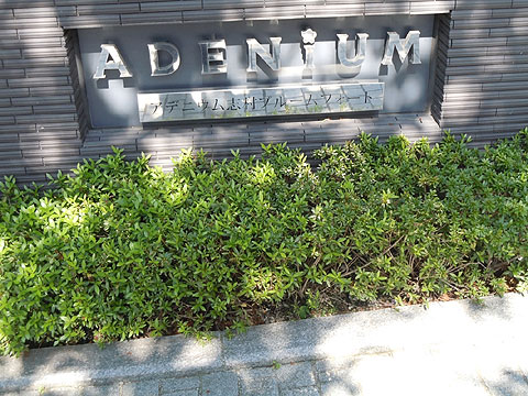 現地外観写真　外観