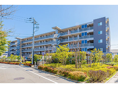 現地外観写真 外観