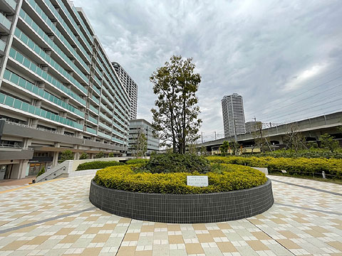 現地外観写真 前面公園