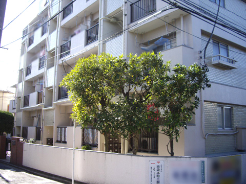 その他共用部 外観4