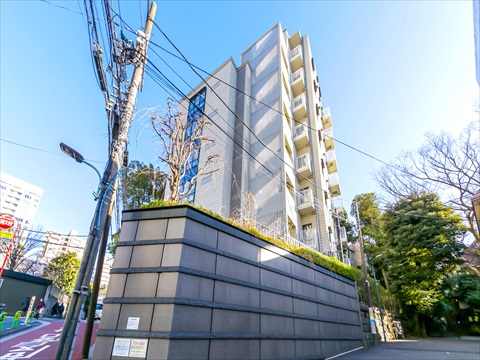 現地外観写真 近隣景観