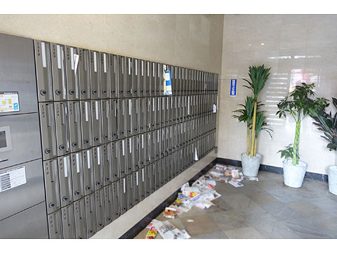 現地土地写真 DSC01524