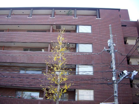 その他共用部 外観4