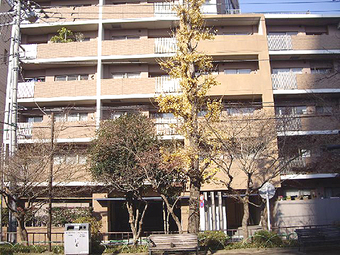 その他共用部　外観6