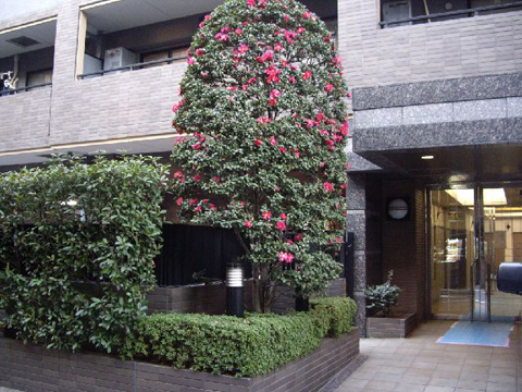 その他共用部 エントランス2