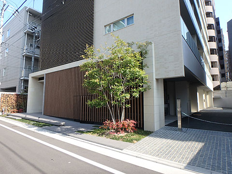 エントランス　エントランスアプローチ