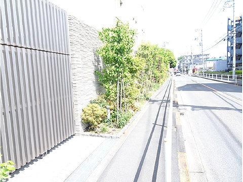 現地土地写真 前面道路と建物