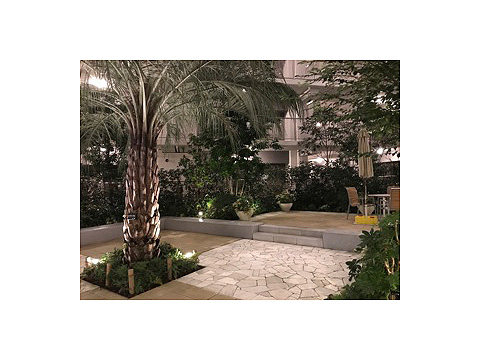 その他共用部　共用中庭 (1)