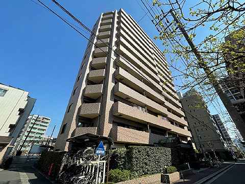 現地外観写真 マンション外観