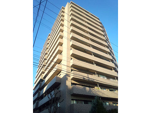 現地外観写真 外観1