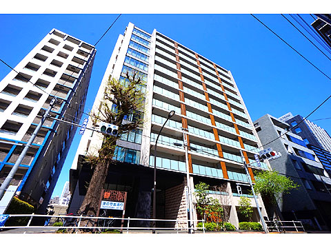 現地外観写真 外観