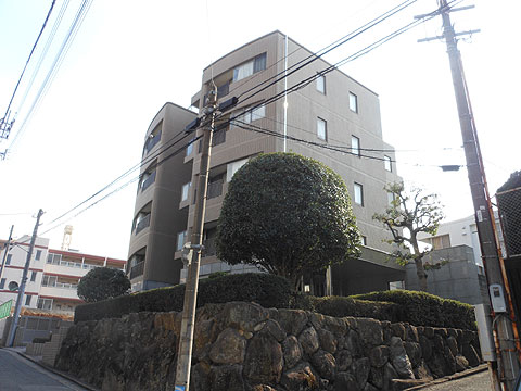 現地外観写真 外観写真(別アングル)