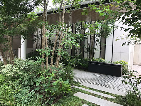 現地外観写真 外観3