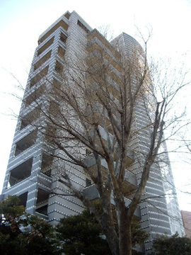 その他共用部 外観4