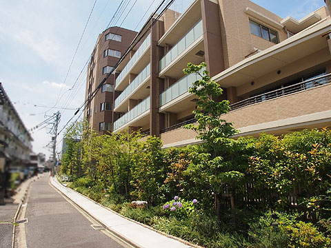 現地外観写真　外観