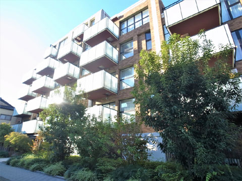 現地外観写真 外観2