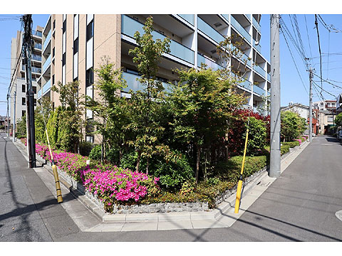 現地外観写真 IMG_2131