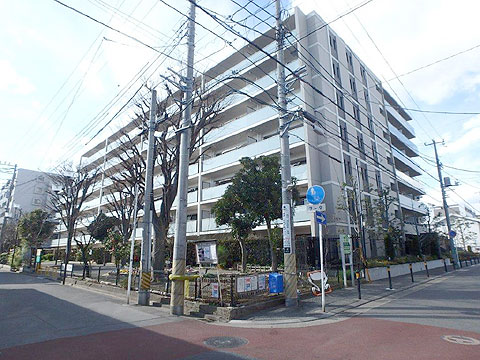 現地外観写真　外観３