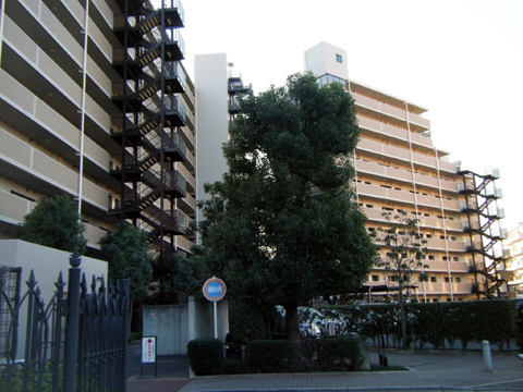 その他共用部 外観3