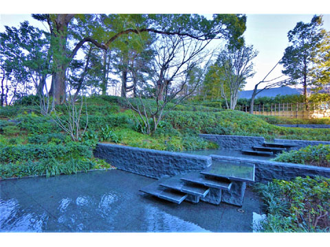 その他共用部 マンション敷地内の中庭。