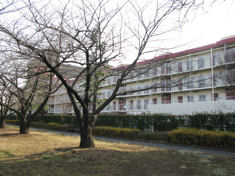 その他共用部　外観6