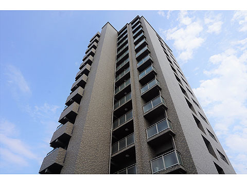 現地外観写真 外観