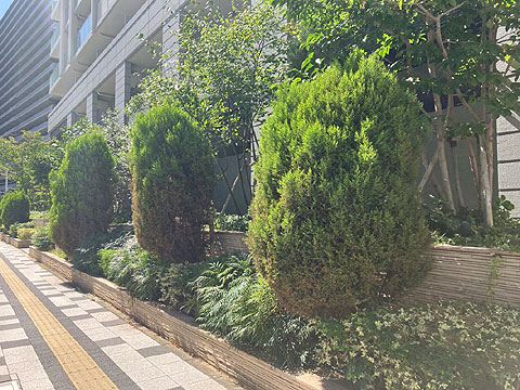 エントランス IMG_1881