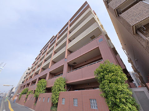 現地外観写真 外観2