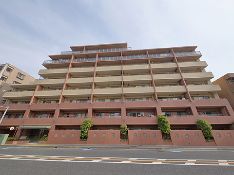 現地外観写真 外観4