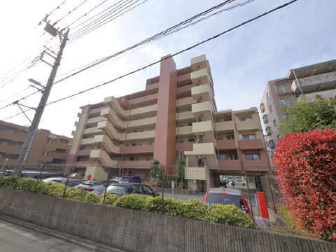 現地外観写真 外観6