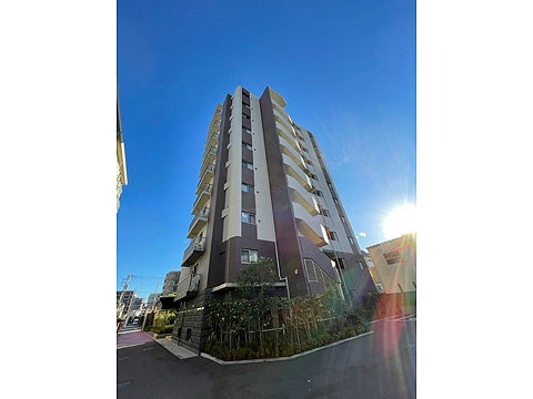 現地外観写真 外観