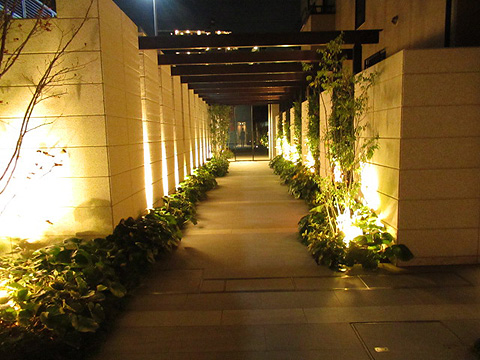 その他共用部 エントランスアプローチ