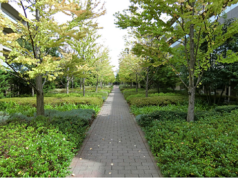 現地外観写真　CIMG3826