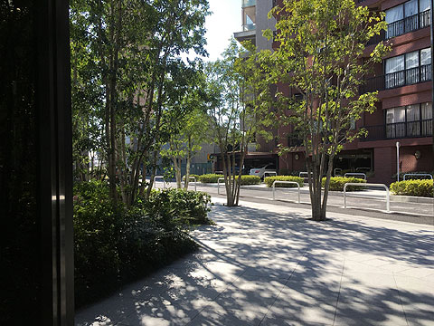 現地土地写真 エントランス前