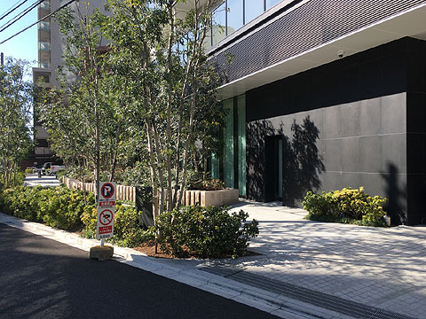 現地土地写真 敷地共用部分1