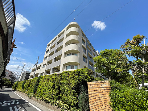 現地外観写真 マンション外観