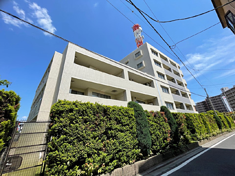 現地外観写真 マンション外観