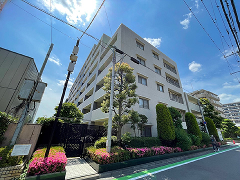 現地外観写真 マンション外観