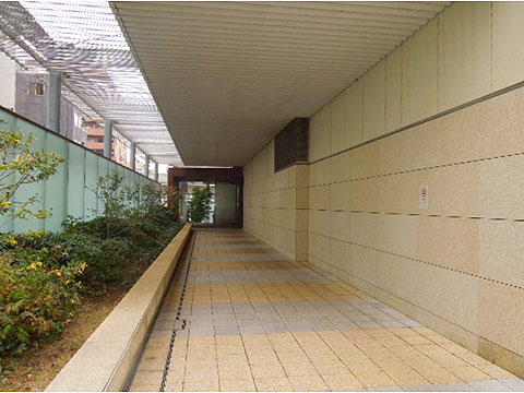 エントランス　エントランスアプローチ