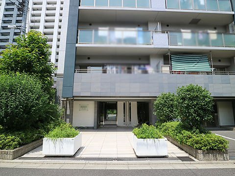 エントランス 緑に囲まれた明るいエントランス