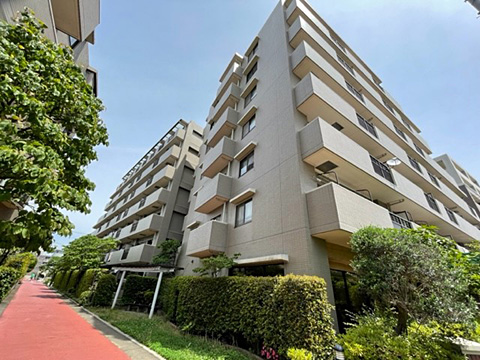 現地土地写真　外観