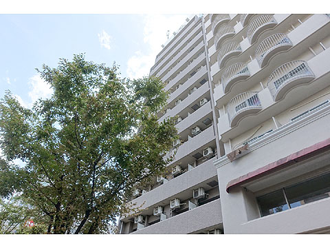 現地外観写真 DSC08757