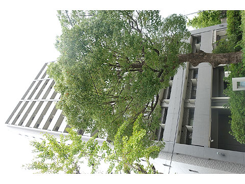 現地外観写真　DSC01022