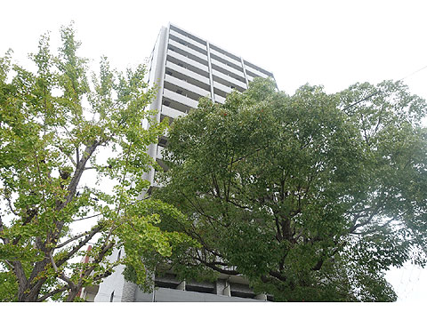 現地外観写真　DSC01021