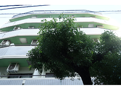 現地外観写真 DSC03444